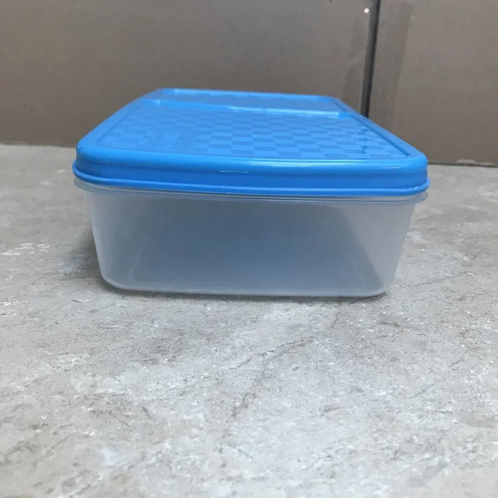 2 Fit & Fresh Bento Box Lunch Box Containers w/ Slim Clip-in Ice Packs